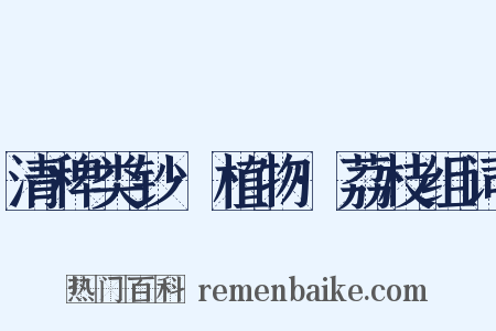 清稗类钞·植物·荔枝组词是什么意思的图片